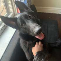 Thumbnail photo of Diablo #3