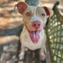 Thumbnail photo of Mary Kate #4