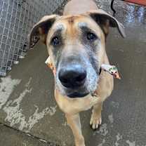 Thumbnail photo of Naomi #3