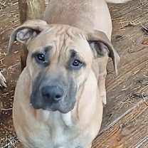 Thumbnail photo of Clyde #1