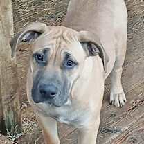 Thumbnail photo of Clyde #2