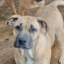 Thumbnail photo of Clyde #3