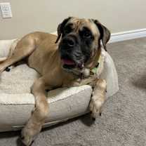 Thumbnail photo of Kai #2