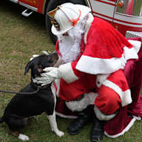 Thumbnail photo of FIN+ #1