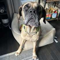 Thumbnail photo of Kai #3