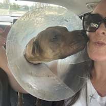 Thumbnail photo of Grasshopper #4