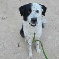 Thumbnail photo of Eclipse JuM #1