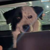 Thumbnail photo of Eclipse JuM #2