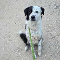 Thumbnail photo of Eclipse JuM #3