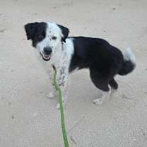 Thumbnail photo of Eclipse JuM #4