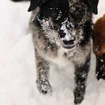 Thumbnail photo of Waverly #2