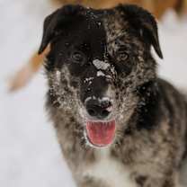 Thumbnail photo of Waverly #1