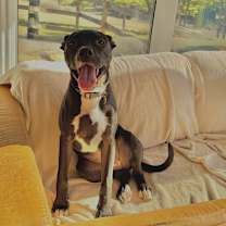 Thumbnail photo of Luda #1