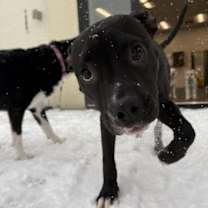 Thumbnail photo of Luda #2