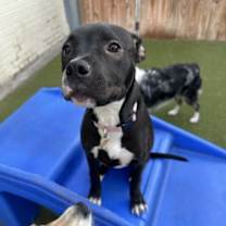 Thumbnail photo of Luda #3