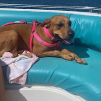 Thumbnail photo of Trinity #2