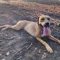 Thumbnail photo of Trinity #3