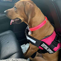 Thumbnail photo of Trinity #4