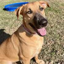 Thumbnail photo of PHILLY #1