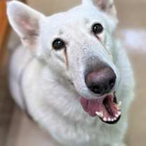 Thumbnail photo of Marly #1