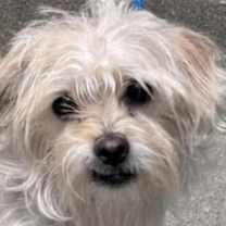 Thumbnail photo of teeny #2