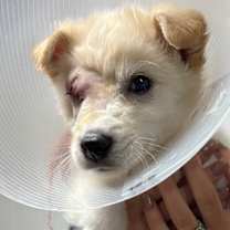 Thumbnail photo of Duckie #2