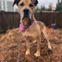 Thumbnail photo of Essie #1