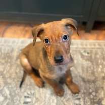 Thumbnail photo of Madison #1