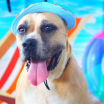 Thumbnail photo of Ford JuM #2