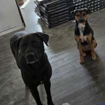 Thumbnail photo of Fiona #2