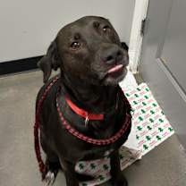 Thumbnail photo of Fiona #3