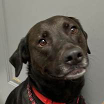 Thumbnail photo of Fiona #4