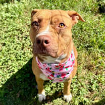 Thumbnail photo of Hera #3