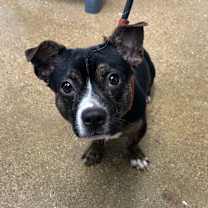 Thumbnail photo of Cubby #2