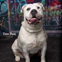 Thumbnail photo of Torta #1