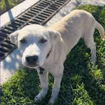 Thumbnail photo of Mikey #4