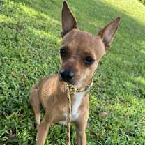 Thumbnail photo of Cam #3