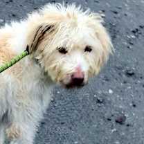 Thumbnail photo of Kylie #1