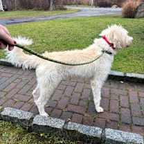 Thumbnail photo of Kylie #2