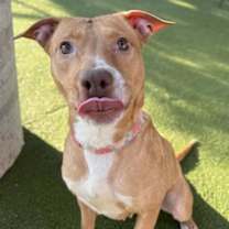 Thumbnail photo of Jazz #1