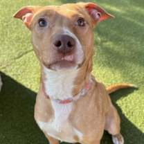 Thumbnail photo of Jazz #2