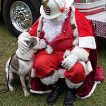 Thumbnail photo of GRAVITY #1