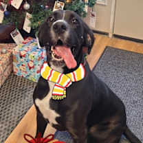 Thumbnail photo of Mady #1