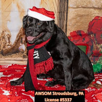 Thumbnail photo of Lady #1