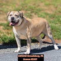 Thumbnail photo of Zeus II #3