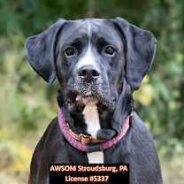 Thumbnail photo of Mady #3