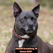 Thumbnail photo of Storm #2