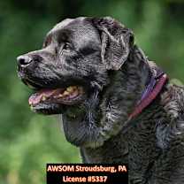 Thumbnail photo of Lady #2