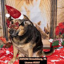 Thumbnail photo of Bryce #2