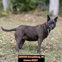 Thumbnail photo of Storm #3